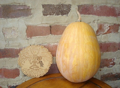 Ferme de Cernunnos - Sucrine du Berry Bio - 2kg