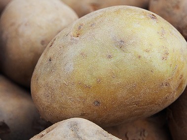 Mon Petit Producteur - Pomme De Terre Bio Allians - Variété à Chair Ferme 1Kg