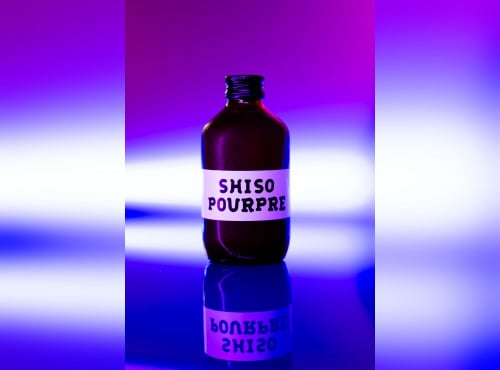 Vivant Kombucha - Kombucha Shiso Pourpre Bio x12
