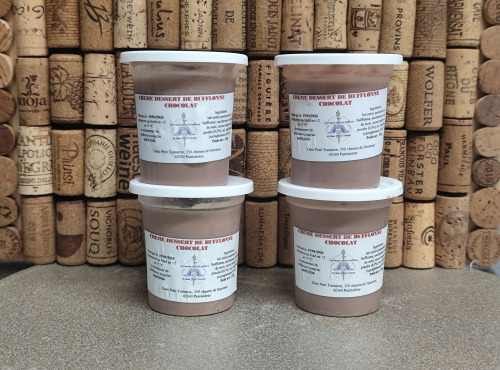 GAEC Petit Tonnerre - Crème chocolat x4