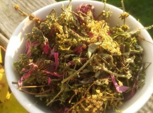 La Cabane à plantes - Infusion Résistance
