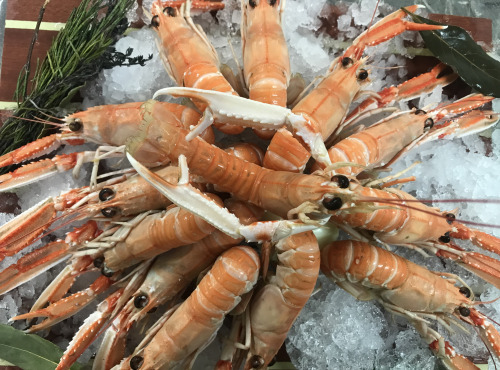 Saveurs Océanes IO - Langoustines cuites – 1kg