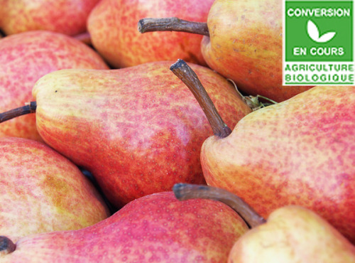 Mon Petit Producteur - Poire William's Rouge