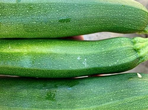 ChâteauFer - Courgette