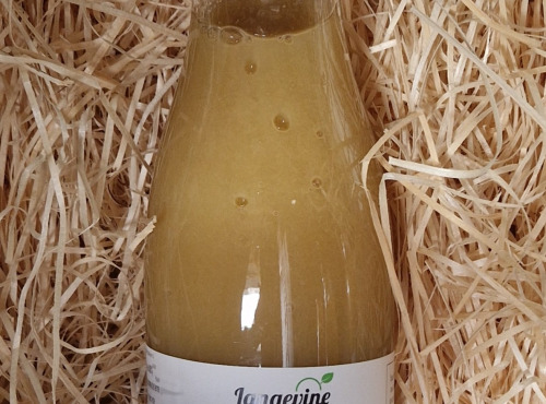 Langevine - SOUPE DE POIREAU 75CL