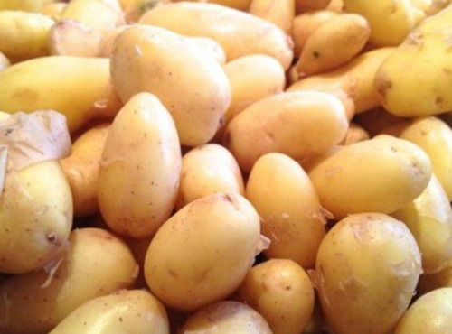 Aux Jardins des Colibris - Panier de pommes de terre Bio "Côte de lumière"