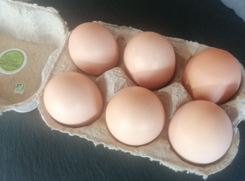 Ferme de Carcouet - Petits Oeufs Bio Frais - x 12