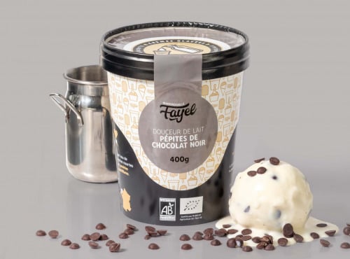 Mademoiselle Fayel - Crème Glacée Douceur de lait pépites de chocolat noir - 100% Bio 500ml