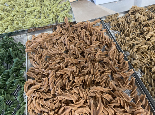 Adal Terra - Lot découverte Bio Pâtes Artisanales  Tire-bouchon à la farine de Légumineuses 4x250g