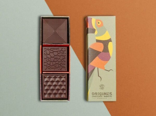 Chocolaterie Origines - Mini réglette dégustation "Mendiants" BIO au chocolat Noir 70% - Pérou