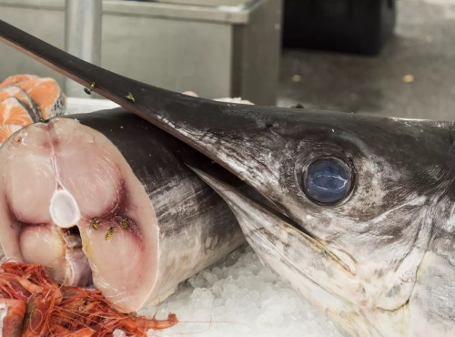 Poissonnerie La Piriacaise - Tranche Espadon