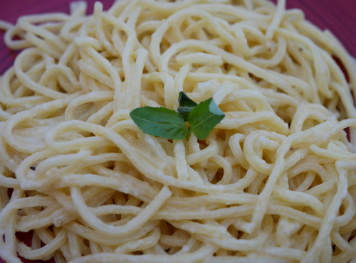 Lioravi, l'authentique pâte fraîche ! - [Précommande] Colis de Pâtes Bio Spaghetti 4x250g