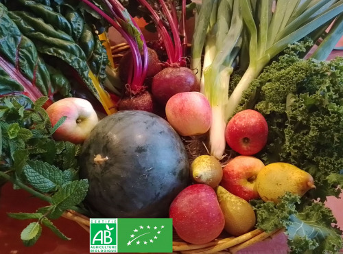 LES JARDINS DE KARINE - Panier modulable / FRUITS et LEGUMES bios d'AUTOMNE