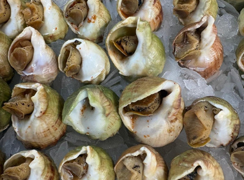 L'atelier des poissonniers - BULOTS