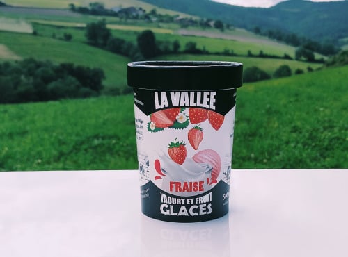 Les Glaces de la Vallée - Coffret Yaourt et fruits glacés à la fraise "la Vallée" 12 pots de 500 ml