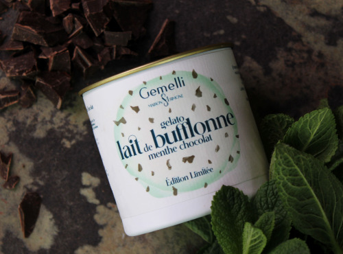 Gemelli - Gelati & Sorbetti - Glace Menthe choco au lait de Bufflonne 100ml