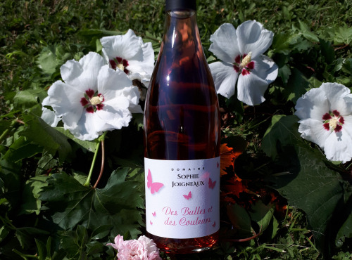 Domaine Sophie Joigneaux - IGP Rosé Sainte-Marie la Blanche 6x75cl Millésime 2018