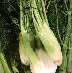 ChâteauFer - Fenouil en botte 500g 2 achetés = 1 offerte