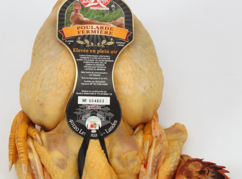 Boucherie Charcuterie Traiteur Lionel Ghérardi - Poularde Fermière Label Rouge - 2000g
