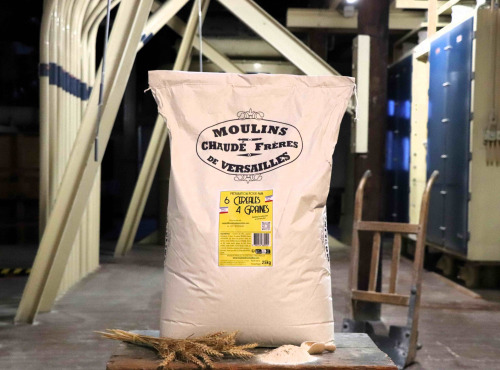 Moulins de Versailles - Préparation Pour Pain Maison Aux 6 Céréales Et 4 Graines - 25kg