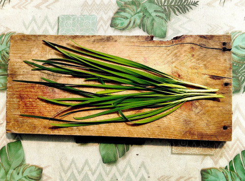 Nature et Saveurs - Ferme Aquaponique et Permacole Astérienne - Ciboulette de Chine – La finesse aromatique asiatique