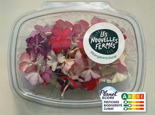 Les Nouvelles Fermes - Fleurs de phlox comestibles (boite de 40 fleurs) x10
