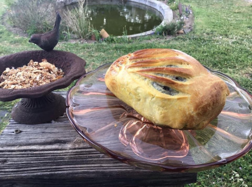 Des Poules et des Vignes à Bourgueil - Brioche fourée  au foie gras de canard