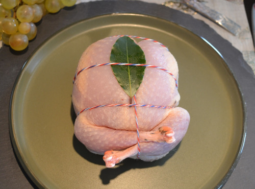 Terre de Gallie - Perdreaux farcis aux girolles