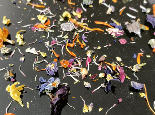 Rébecca les Jolies Fleurs - fleurs aromatiques séchées
