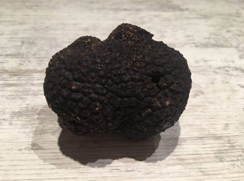 Truffe et ses saveurs - Truffe Noire Du Périgord Fraîche - 30g