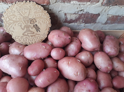 Ferme de Cernunnos - Pommes de terre Désirée bio - 3 kg