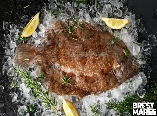 Brest Marée - Limande Sole - pièce de 350g