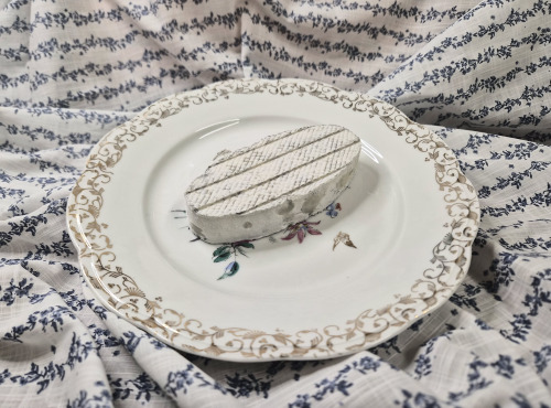 La Fermière - Bouclier de chèvre cendré