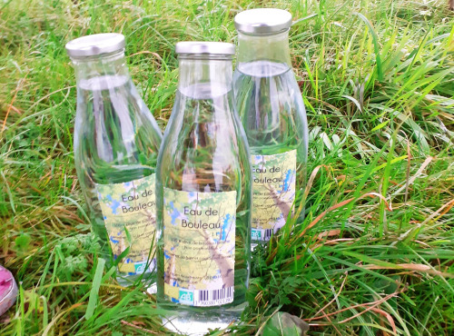 Les Vergers de la Vautée - [Précommande] Eau de Bouleau 3x100cl