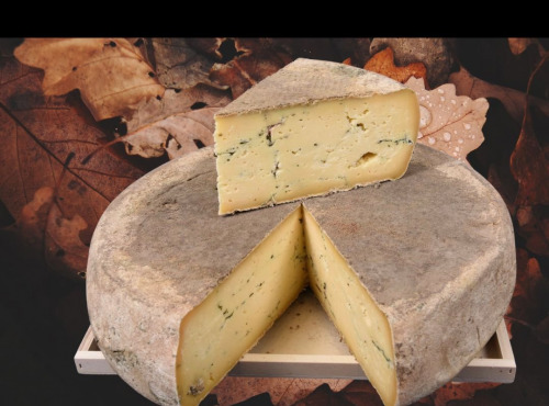 GAEC Les Perce-neige - Tome Ail des ours 1/2 6,3kg