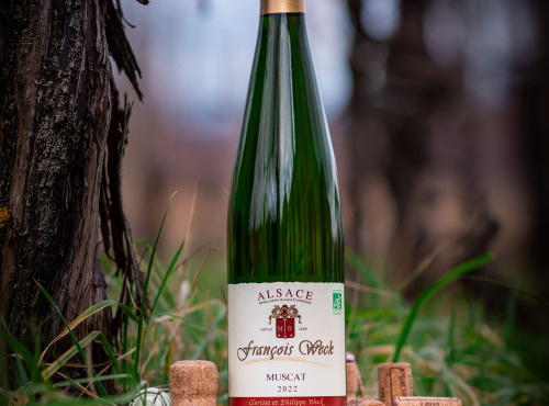 Domaine François WECK et fils - Muscat 2023 - 75cl x3