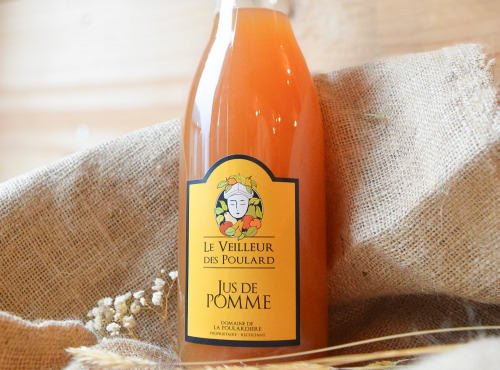 Dégustonfoin - Jus de Pomme Bio 1L - Domaine la Poulardière