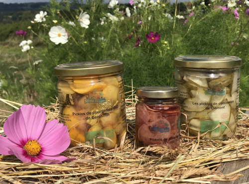 Ferme Sinsac - Panier de pickles pour l'apéritif