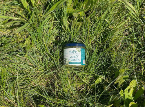 Agriloops - Pesto au Basilic Breton 90g