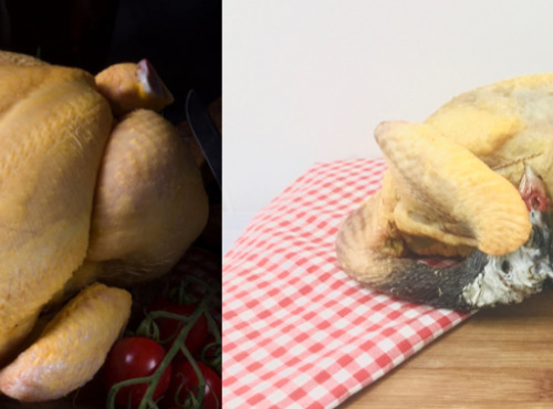 Ferme de Calès - Lot D'un Chapon De 3.5kg Et D'une Pintade De 1.8kg