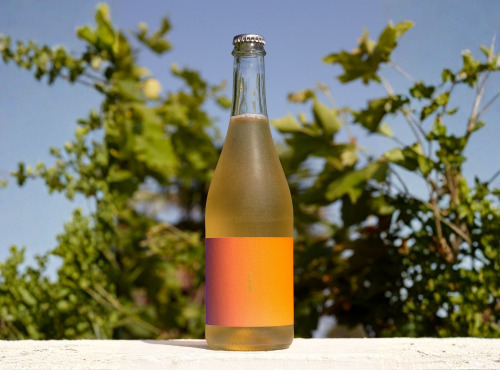OMAFRIDA - Pétillant sans alcool : La Cuvée N°003