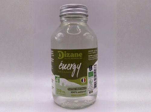 Ferme de Vanadal - Dizane Energy – Concentré bio tonifiant, boost naturel sans sucre