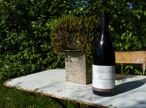 Domaine Ghislain Kohut - Lot 6 Bouteilles de Marsannay lieu-dit "Champs Perdrix" AOC