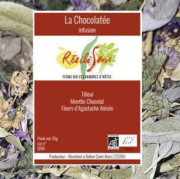Résilisens - La Chocolatée