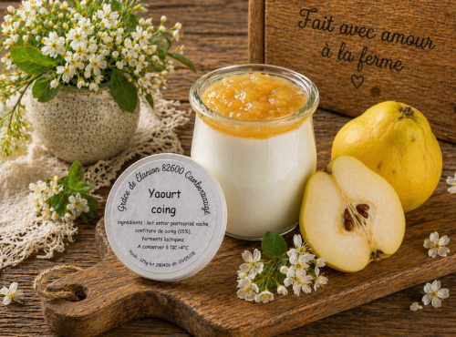 Gaec de l'Elanion - Yaourt Confiture Coing 125g