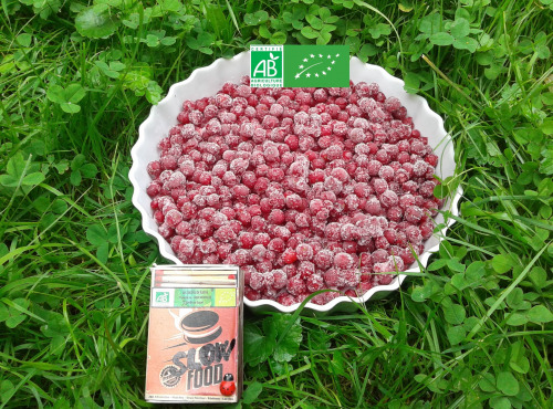 LES JARDINS DE KARINE - Groseilles rouges surgelées - 1kg