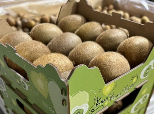 La Ferme du Tastet - Kiwis 6,4kg