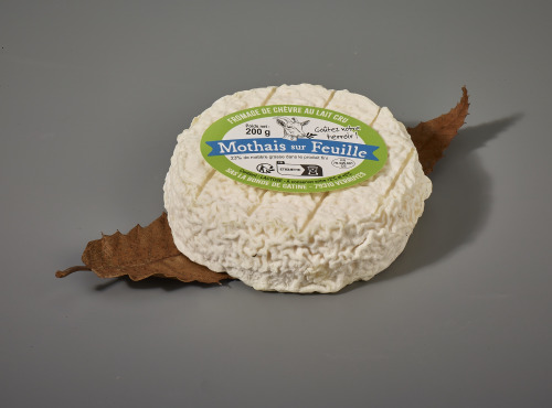 Laiterie de Pamplie - Mothais sur feuille