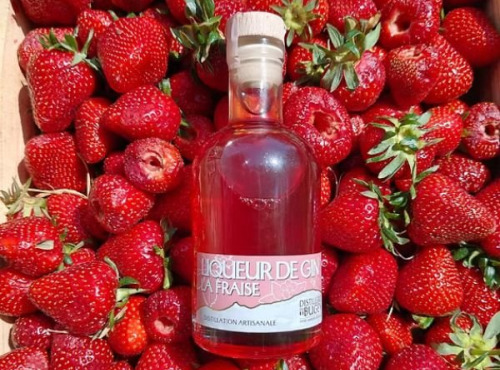 Distillerie du Bugey - Liqueur de gin à la fraise 20cl