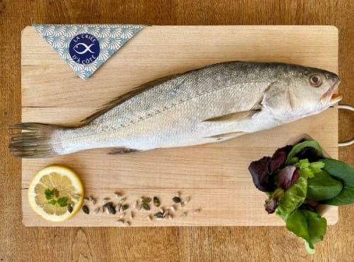 La Criée d'à Côté - Maigre | pièce de 650g à 750g